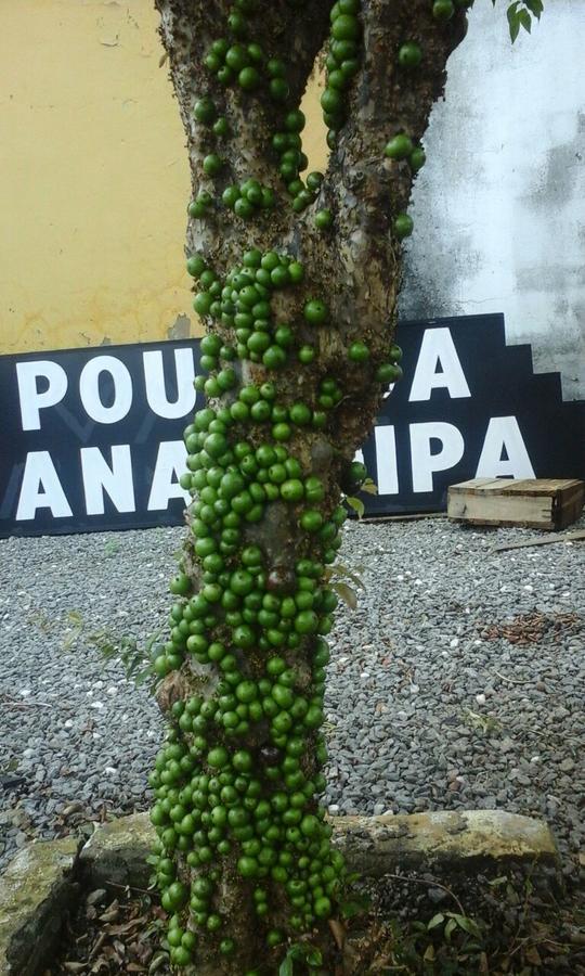 Pousada Ana Poipa Goiânia Kültér fotó